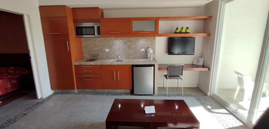 Unit 110 – Garden View