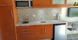 Unit 110 – Garden View