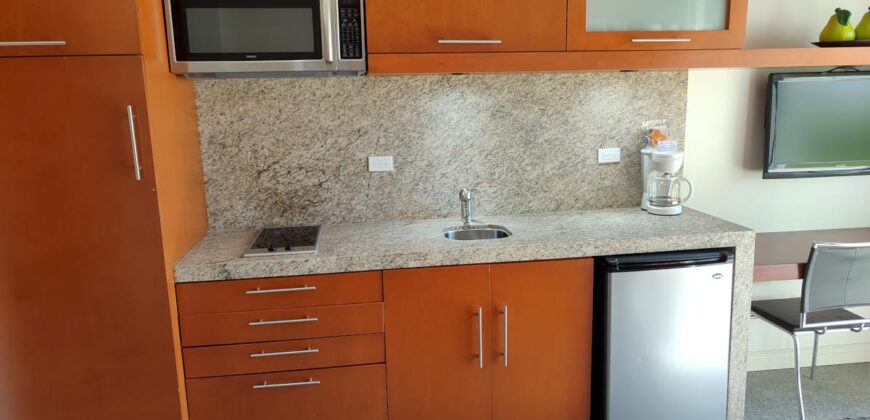 Unit 110 – Garden View